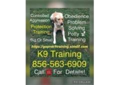 Canine obedience, go potty outdoor